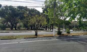 Imagem 5: Terreno à venda em Campinas, Jardim Bela Vista, com 260 m²