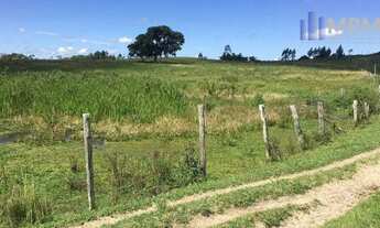 Imagem: Fazenda com 251 HA