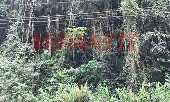 Imagem 4: Terreno em Serra da Cantareira