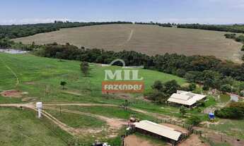 Imagem 4: Fazenda 38 alqueires (183,92 hectares) Morrinhos - Go
