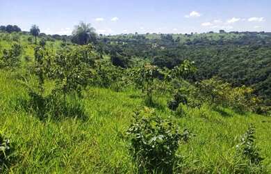 Imagem 5: SITIO EM RIANAPOLIS 2.5 ALQUEIRES