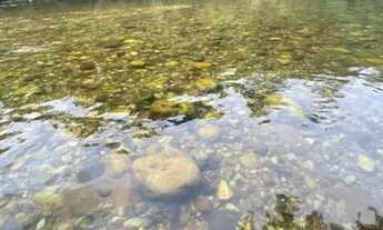 Imagem 3: Chácara escriturada no Coxipo do Ouro, localização bem reservada