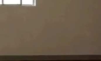 Imagem 2: APARTAMENTO - CAMBUCI - SP