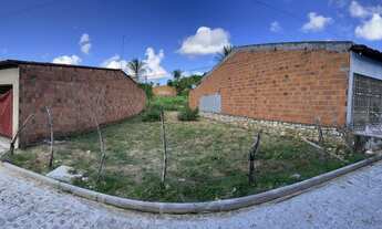 Imagem 2: Terreno na Palmeira