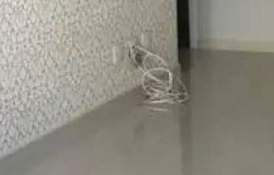 Imagem 4: APARTAMENTO - EMBARÉ - SP