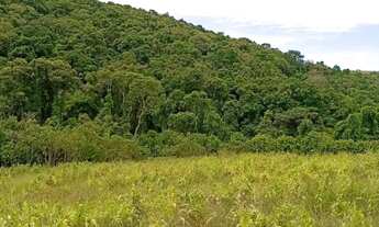 Imagem 2: Terrenos em pré-lançamento em Ibiúna com alto potencial de valorização