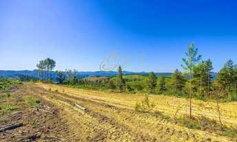 Imagem 3: Campo Largo, à 6 km do asfalto, 111 alqueires, ou 269 hectares , 38 Alqueires Própria Refl
