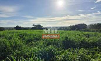 Imagem: Fazenda 76 alqueires (370 hectares) São