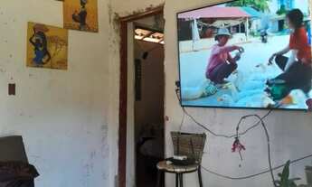 Imagem 4: Chacara 2 mil metros com casa