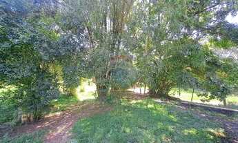 Imagem 7: Amplo Terreno à Venda, Bairro Vera Cruz, Passo Fundo/RS