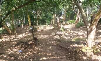 Imagem 4: Sítio medindo 11x80 com 3 casas