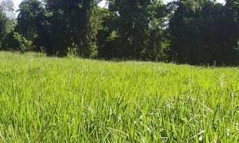 Imagem 2: Sítio em Paranavaí