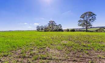 Imagem: AF- Fazenda entrada R$16.500