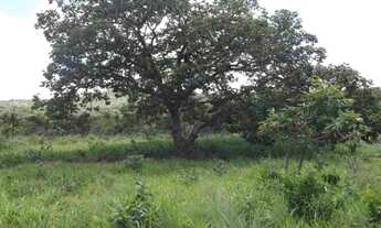 Imagem 6: Lindas fazendinhas de 20 mil metros 100% plana, Jaboticatubas(Temos varias opções)