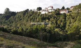 Imagem 5: Amplo Terreno à Venda na Região do Alto do Capivari - Campos do Jordão/SP