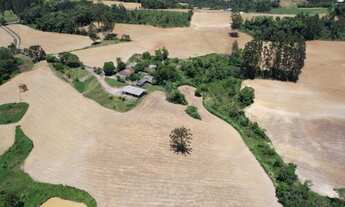 Imagem 4: 29.0 Ha para soja ou gado em Vitor Meireles sc