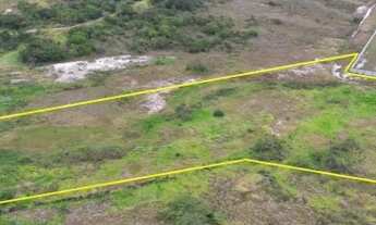 Imagem 2: Terreno 25.000 m² em Camaçari