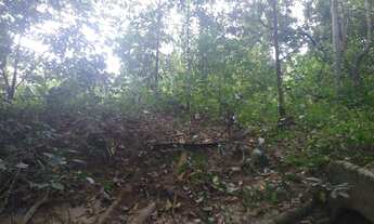 Imagem 7: Chácara com rio em Bela vista são 20 mil metros