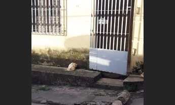 Imagem 4: Casa bairro João de Deus São Luís - Maranhão