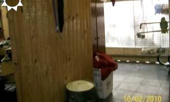 Imagem 3: SOBRADO METALURGICOS OSASCO