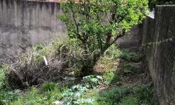 Imagem 7: Terreno - Jardim São Jorge - Valinhos