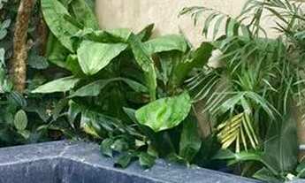 Imagem 5: CASA DE VILA - VILA OLÍMPIA - SP