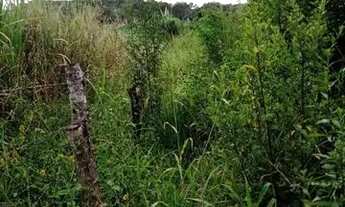 Imagem 7: Terreno 65.000m², as margens do Rio das Velhas, Jaboticatubas