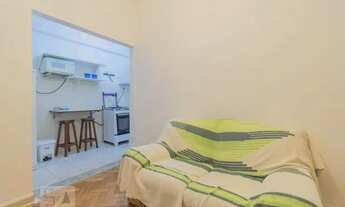 Imagem 6: Apartamento para Aluguel - Santa Teresa, 1 Quarto, 110 m2