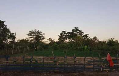 Imagem 3: Sítio a venda Chácara com venda por R$55.000