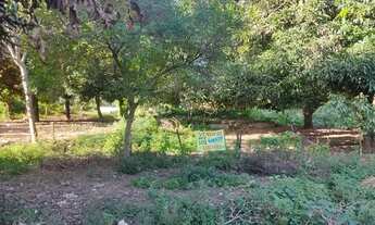 Imagem 2: Vende-se 2 Lotes Escriturados Grandes Baratos 30 mil Cada no Pq Estrela Dalva 5 - Luziânia