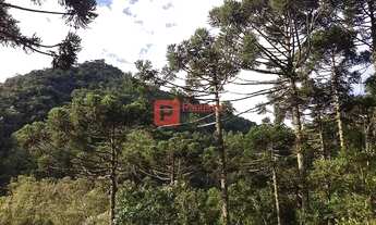 Imagem 10: Casarão no Condomínio Portal da Mantiqueira, Santo Antônio do Pinhal