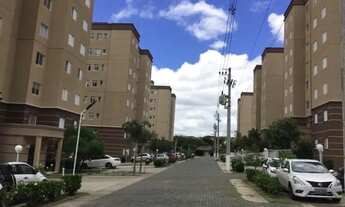 Imagem 2: Apto Massimo Residence - 2 dormts