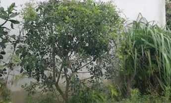 Imagem 6: Chácara em Quissama com casa e terreno de 18.213m2. Quissama - RJ