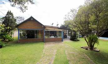 Imagem 7: Casa com 3 Quartos - Área com Piscina e Pomar Formado