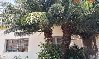 Imagem 6: PIRACICABA - Casa Padrão - Centro (Ártemis