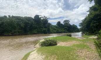 Imagem 4: Chácara de 21 mil mt em Goiás velho no rio vermelho!