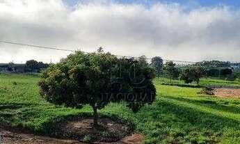 Imagem 7: Sobrado com 4 dormitórios à venda, 228 m² por R$ 1.395.000,00 - Centro - Itaí/SP