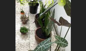 Imagem: Dividir aluguel