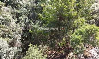 Imagem 2: Belo Lote de Terreno à Venda na Região de Descansópolis - Campos do Jordão/SP