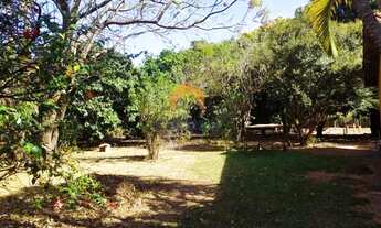 Imagem 5: Chácara para Venda em Uchoa, Entrada, 6 dormitórios, 2 suítes, 3 banheiros, 10 vagas