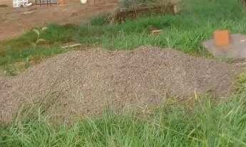 Imagem 2: Casa no paraíso do lageado