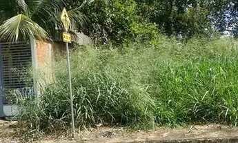 Imagem: 1003 sul, arso 101, lote 360 mt, nascente