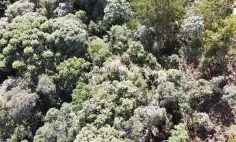 Imagem 4: Belo Lote de Terreno à Venda na Região de Descansópolis - Campos do Jordão/SP