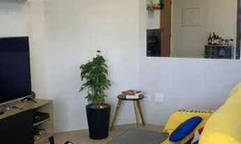 Imagem 6: Aluguel Apto Morumbi (Jardim Colombo) 2 quartos, piscina - Ótima localização