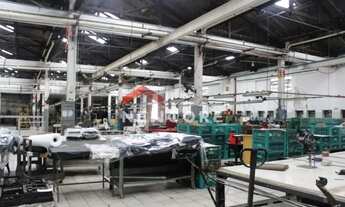 Imagem 7: Galpão em Rua Major Paladino - Vila Ribeiro de Barros - São Paulo/SP