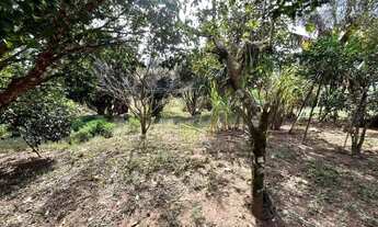 Imagem 6: Terreno à venda, 2600 m² por R$ 3.000.000,00 - Santo Inácio - Curitiba/PR