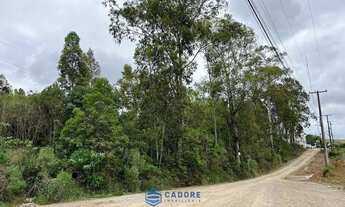 Imagem: Terreno RS122 com 29.096m² saida para Flores