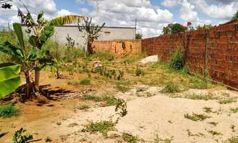 Imagem 3: Vendo lote em São Gabriel Goiás entetessado entre em contato comigo tem documento