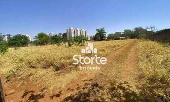 Imagem 3: Maravilhosa área à venda, 10.710,30m² por R$ 12.000.000 - Jardim Holanda - Uberlândia/MG