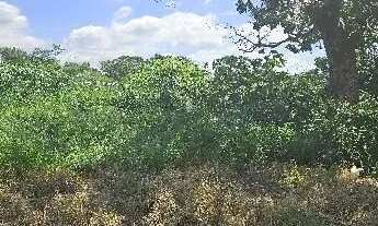 Imagem: Oportunidade Única em CAPIVARI - SP Tipo